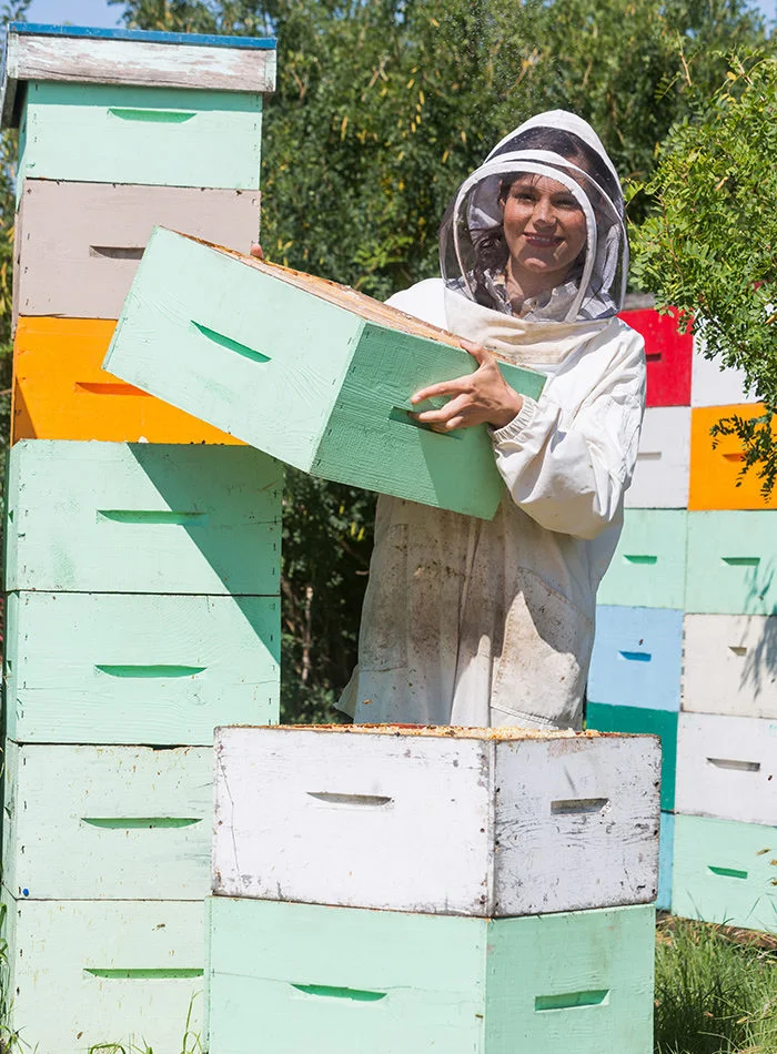 Woman Moving Hives Woman Moving Hives