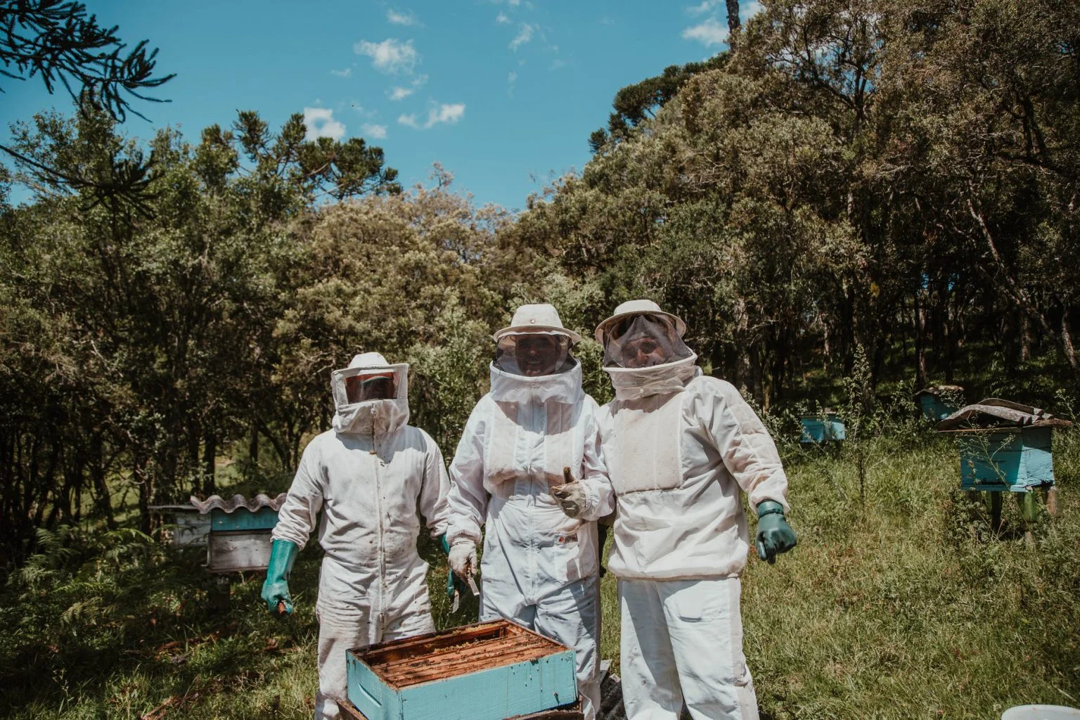 round_veil_beekeepers Round Veil Beekeepers