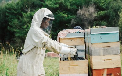 Why Bees Sting (And How the Right Clothing Helps You Get Stung Less)