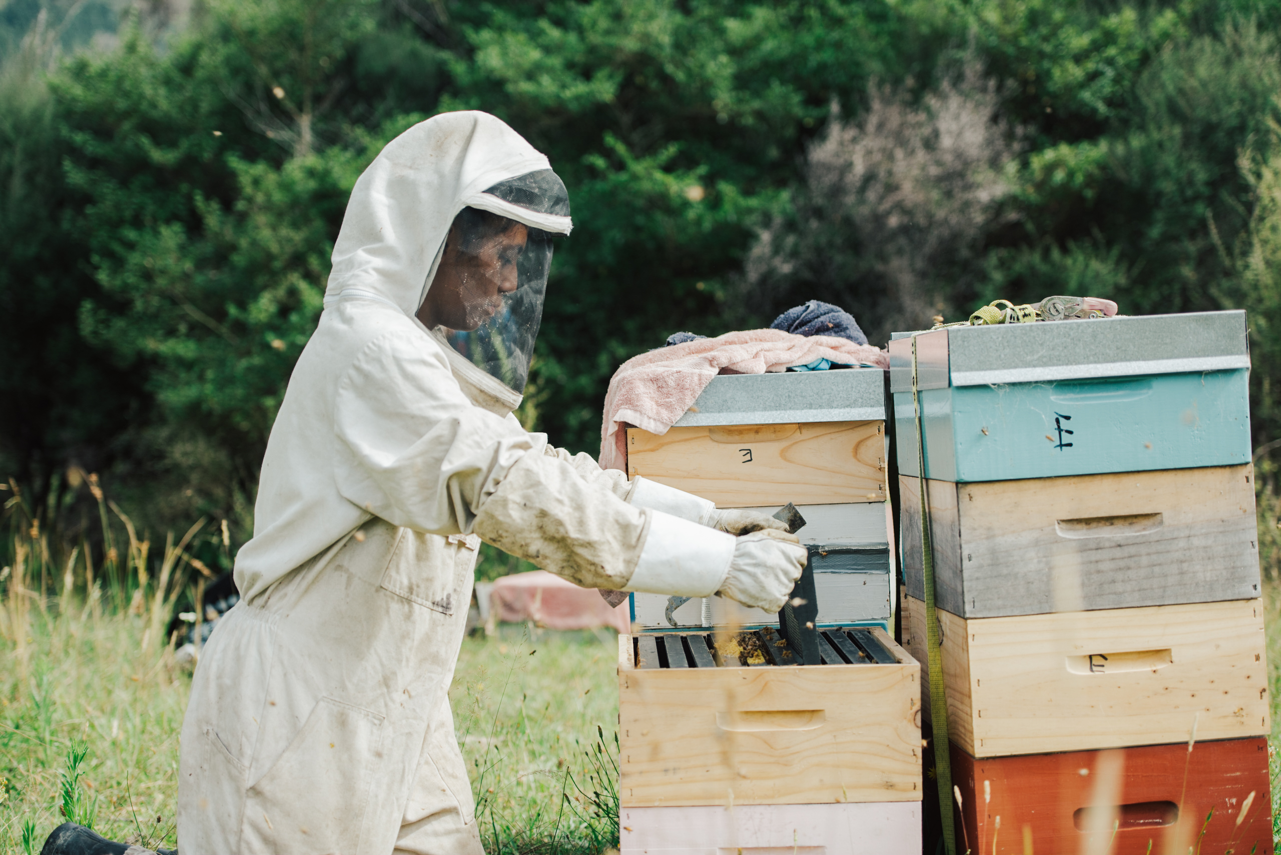 Working Hives Working Hives