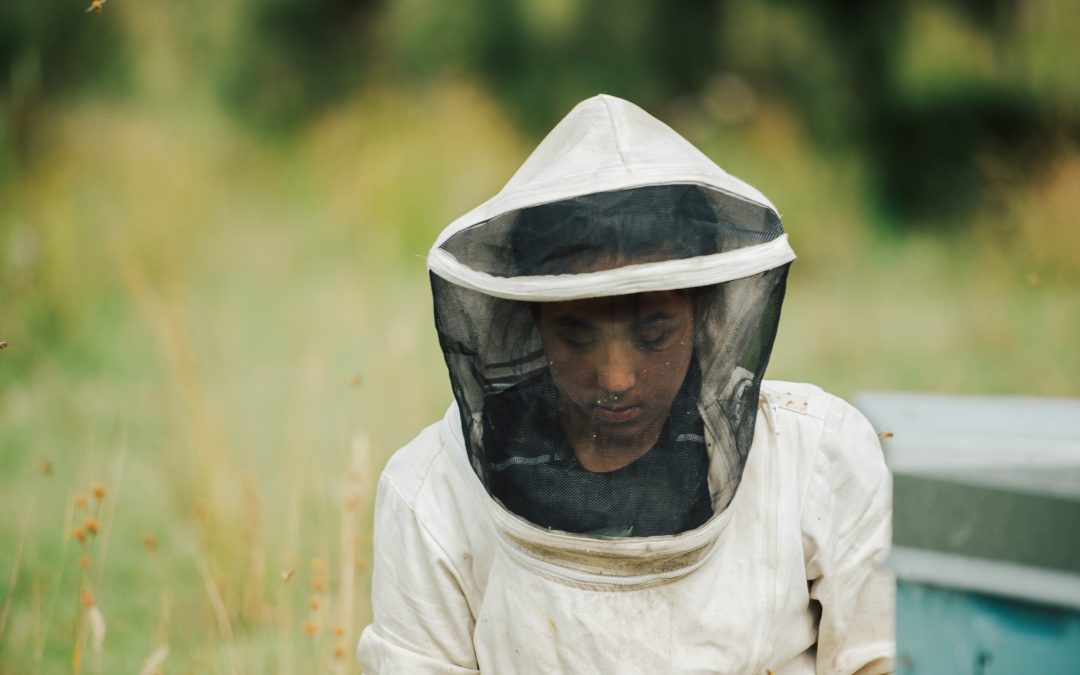 Beekeeping Jacket vs. Suit: Which One Should You Buy?