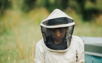 Beekeeping Jacket vs. Suit: Which One Should You Buy?