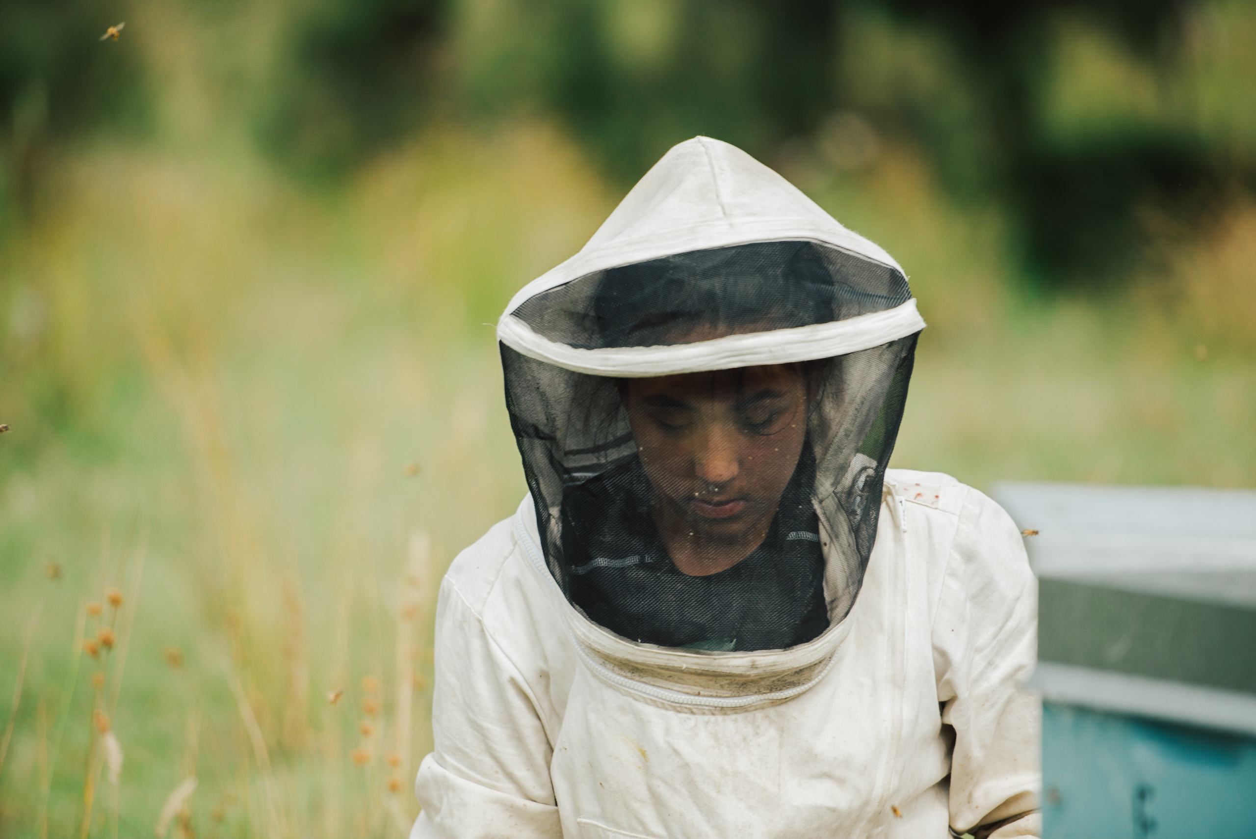 Bee Suit Bee Suit