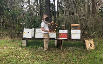 Bee-friendly Beekeeper Clothing